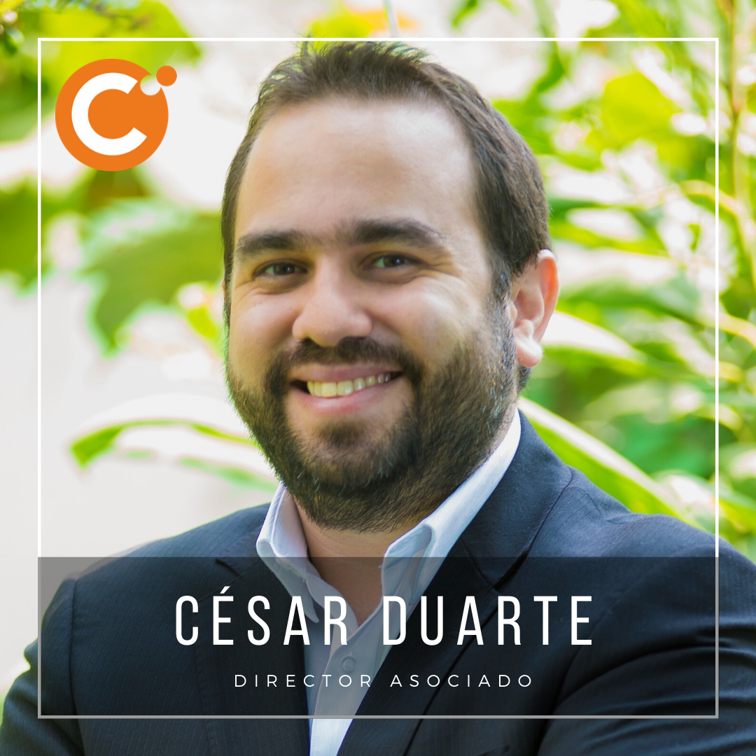César Duarte Web